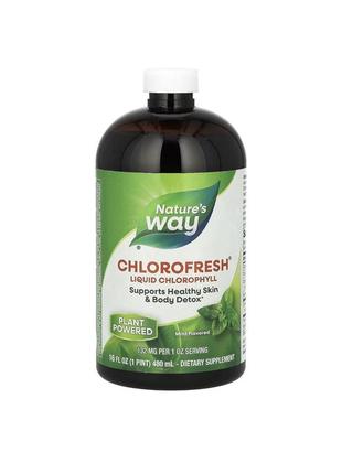 Рідкий хлорофіл, iherb,айхерб,chlorofresh,nature’s way1 фото