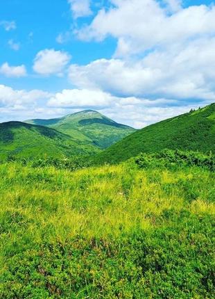 Карпати (с.кваси), екскурсії та супровід в гори, полонини