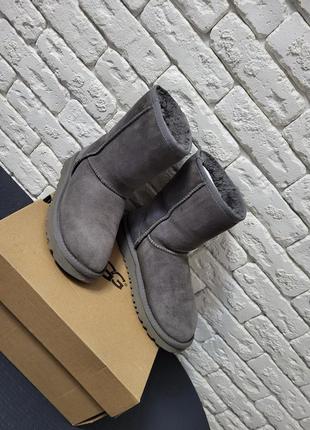 Ugg оригинал