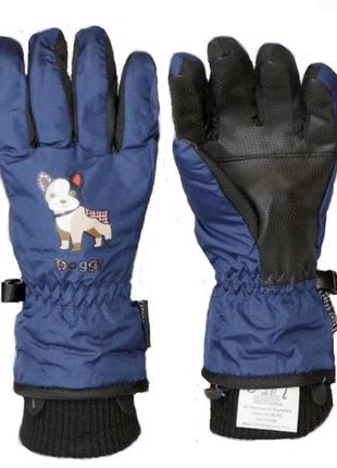 Детские перчатки echt горнолыжные, темно-синий (c082-navy) - 8-9 лет