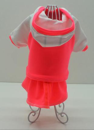 Костюм-сукня для собак фітнес zoo-hunt помаранчева такса 47х56 см