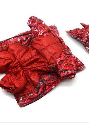 Комбинезон для собак амур с капюшоном на подкладке omni-heat красный той-терьер 25х34 см2 фото