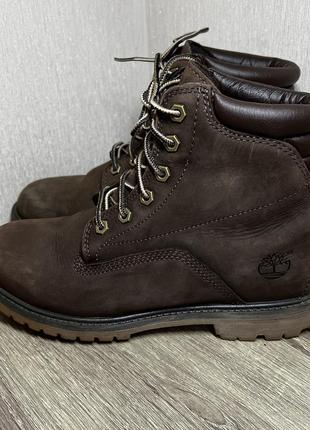 Черевики timberland premium boot