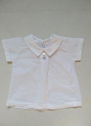 Блуза на 3-6 місяців🐰