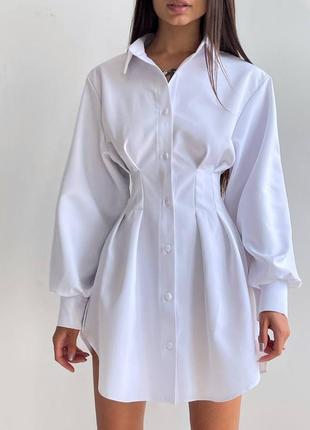 Сукня сорочка з рукавами ліхтариками приталенного крою під корсет