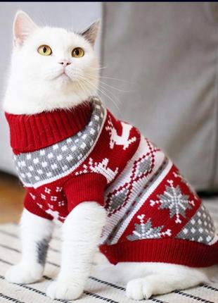 Светр для кота або маленького собаки

червоний з оленями