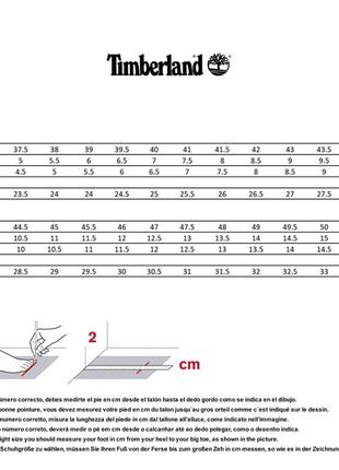 Timberland обувь мужская5 фото