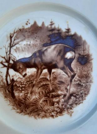 Декоративная фарфоровая тарелка weisswasser.