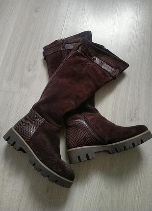 Зимние сапоги на цегейка, натуральный замш