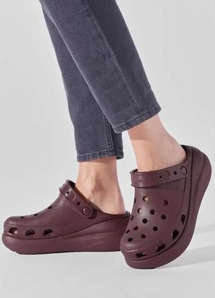 Крокс класік клог платформа бордові бургундія crocs classic crush clog dark cherry