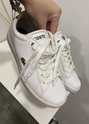 Кеди lacoste4 фото