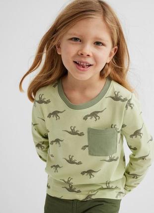 Детский  хлопковый лонгслив / реглан / кофта  h&m с дино 2