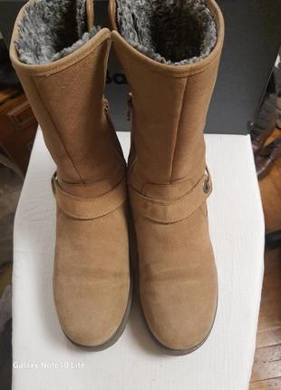 Ecco оригинал! зимние утепленные кожаные высокие ботинки сапоги мембрана gore-tex®8 фото
