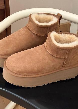 Женские сапоги ugg угги кэмэл