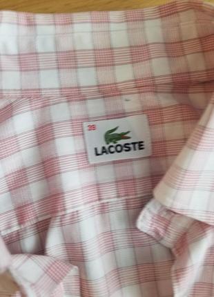 Сорочка теніска lacoste оригінал3 фото