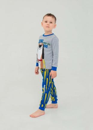 Детская пижама | 92, 110, 116 | очень приятная к телу для мальчика smil 104523 серый меланж2 фото