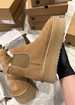 В наявності останні ugg! уггі ugg neumel platform chelsea boot chestnut.3 фото