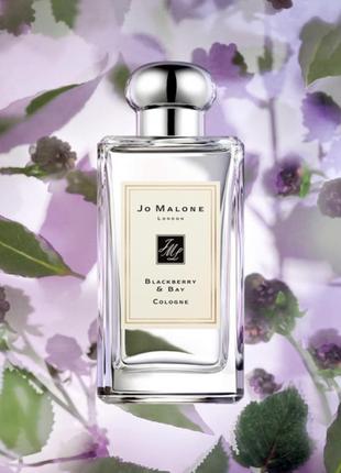 Jo malone blackberry bay 100 ml одеколон (женские джо малон блекберри)6 фото