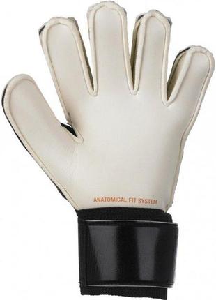 Рукавички воротарські select goalkeeper gloves 03 youth синій, білий діт 6 (601072-373 6)2 фото