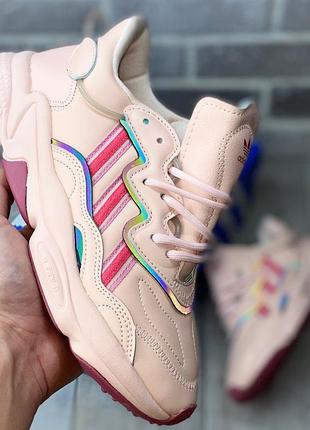Кросівки жіночі adidas