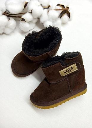 Чобіточки  ugg