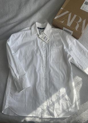 Котонова рубашка zara 36-38 4