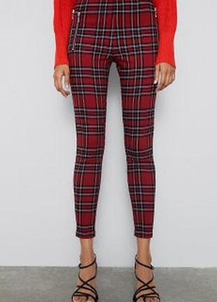 Штани леггінси zara