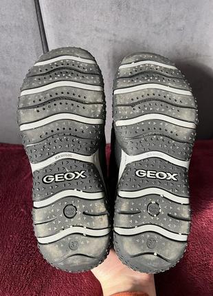 Обувь geox, кроссовки geox2 фото