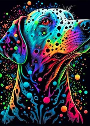 Картина по номерам цветная собака на черном холсте av4040-5