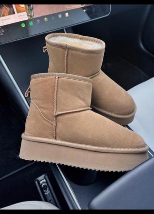 Ugg mini platform