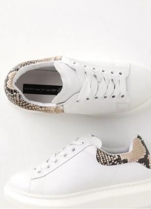 Кросівки steven by steve madden women's glazed sneaker оригінал