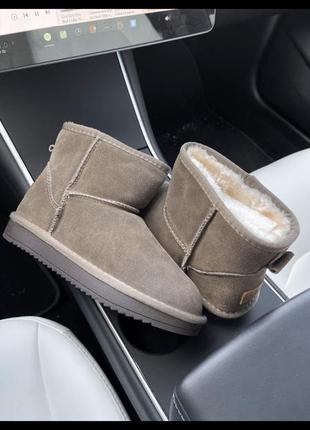 Ugg mini1 фото