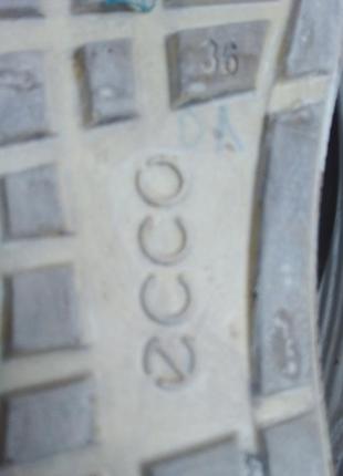 Термо ботинки ecco 8