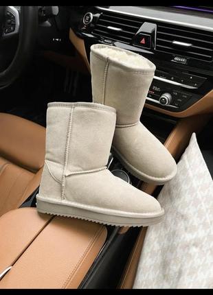 Ugg classic