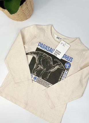 Детский  хлопковый лонгслив / реглан / кофта  h&m с дино