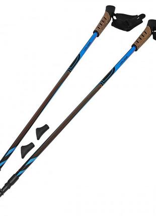 Палки для скандинавской ходьбы (трекинговые палки) sportvida sv-re0012