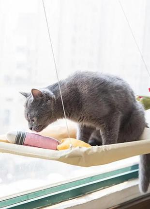 Котяче ліжко-гамак для використання в приміщенні лежанка для котів із присосками window mounted cat bed6 фото