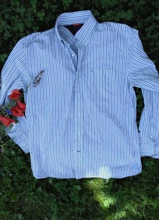 Мужская рубашка Tommy hilfiger