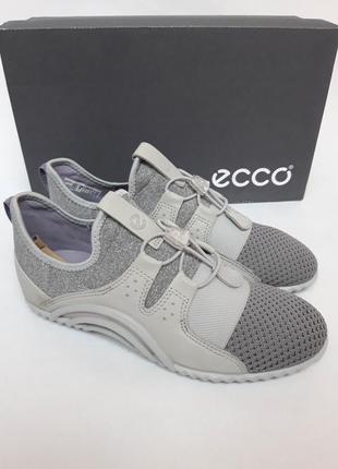 Женские кроссовки ecco vibration toggle. оригинал1 фото