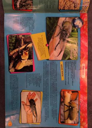 Энциклоперия о насекомых2 фото