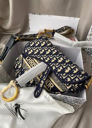 Dior saddle blue/beige 8