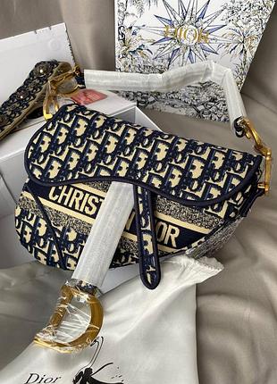 Dior saddle blue/beige 10