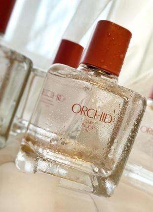 Zara orchid духи парфюм