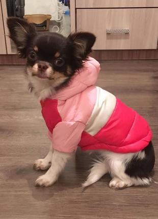 Водонепронецаемый пуховик с капюшоном для собак tianchou размер s (28см*41см), розовый2 фото