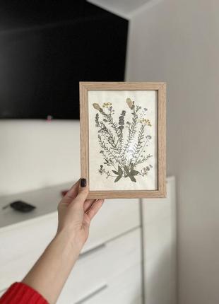 🌿 картина із сухоцвітів , інтер'єр  декор гербарій