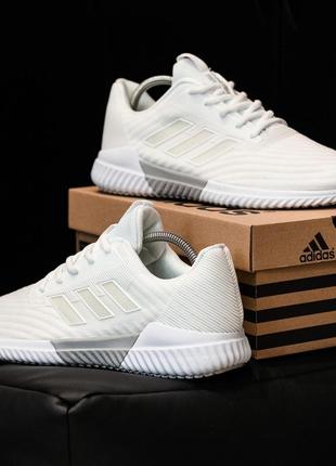 Кроссовки мужские adidas3 фото