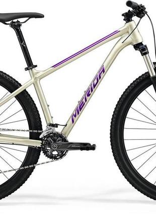 Велосипед merida big.nine 300, m(17), silk champagne(purple)