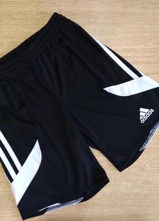 Шорти adidas climalite спортивні