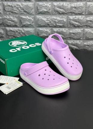 Женские шлепанцы crocs фиолетовые тапочки женские крокс