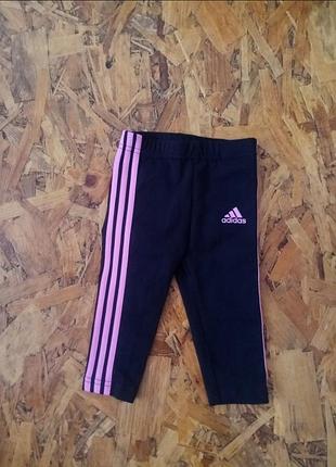 Котонові спортивні лосіни штани adidas